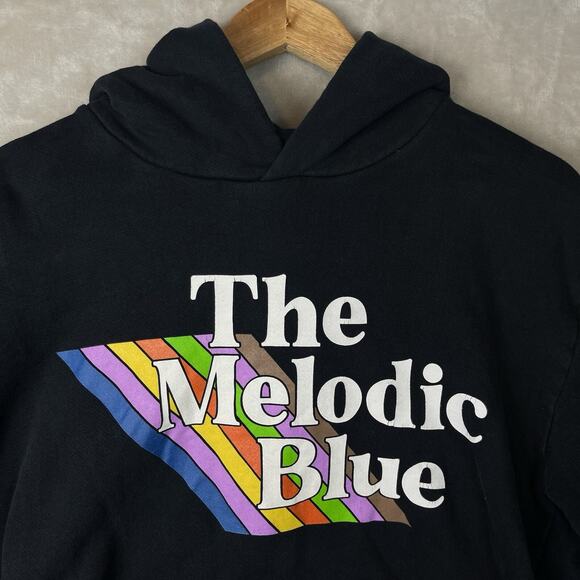 Baby Keem The Melodic Blue Tour Merch Hoodie Large Baggy Y2K Heavyweight Rare - Picture 3 of 10